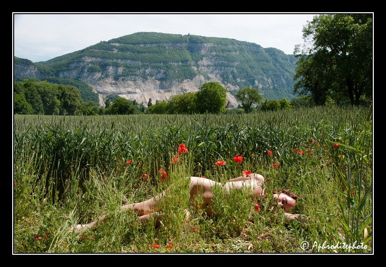 016 Blés verts et coquelicots 1